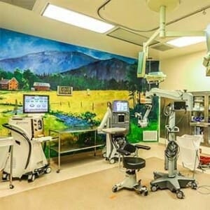 St. George Surgical Center wall mural